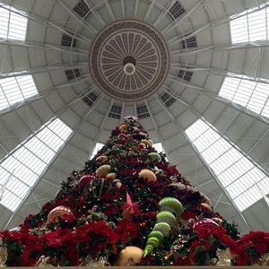 Meet your Posher, Tj